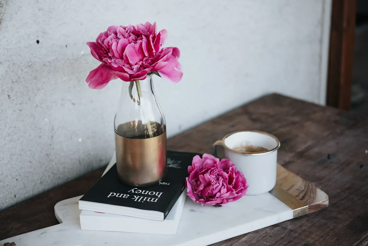 alisa-anton-tT-t-qPCruo-unsplash