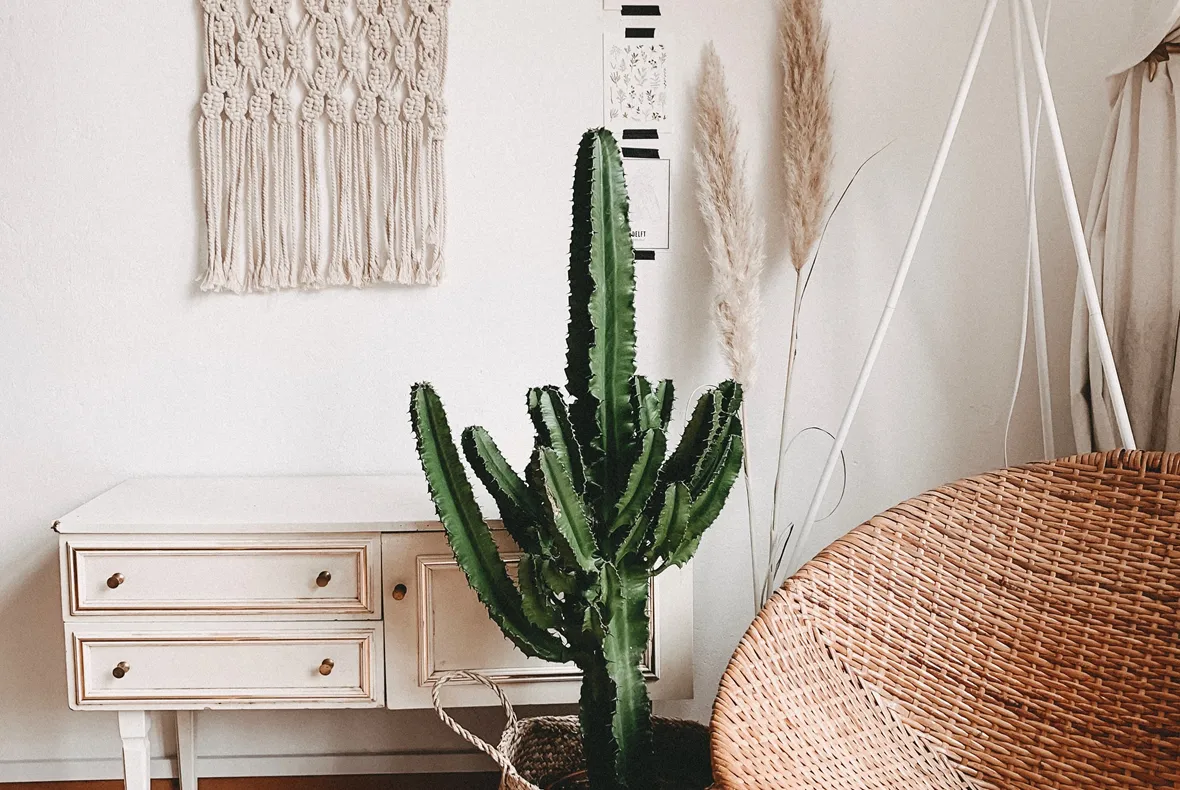 alyssa-strohmann-2r2RUsEU1Aw-unsplash
